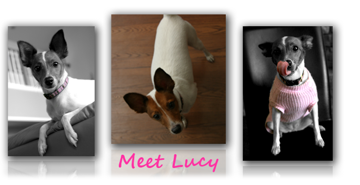 Lucy